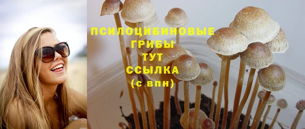 твердый Вязники