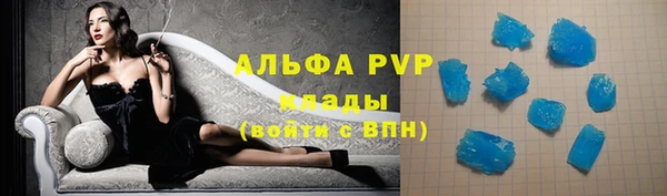 винт Вяземский