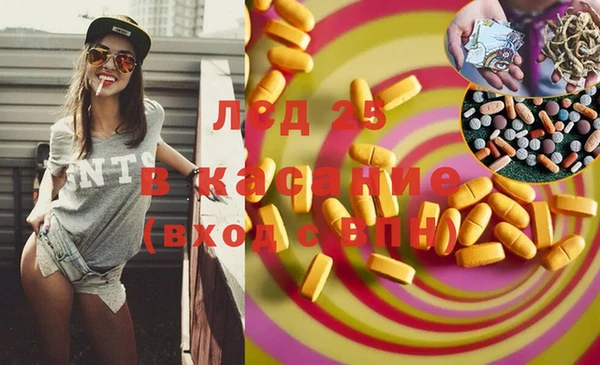 винт Вяземский
