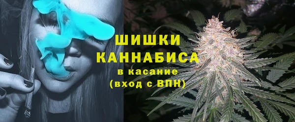 винт Вяземский
